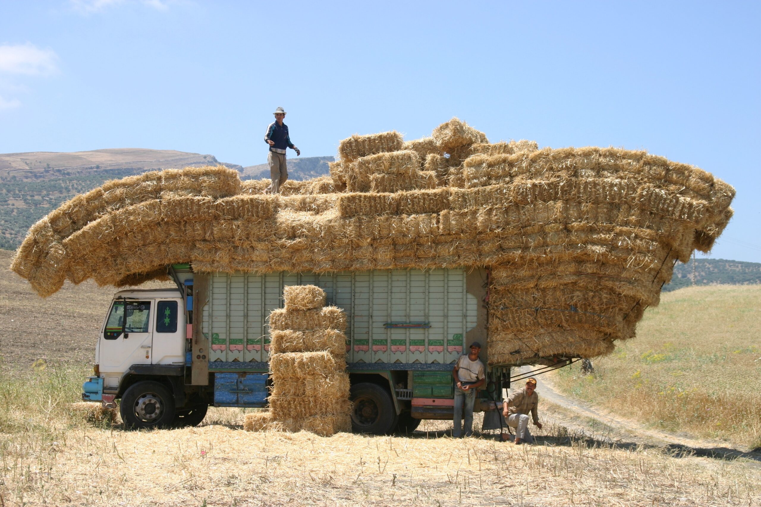 Haytruck ind Morocco